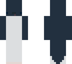 adelie penguin