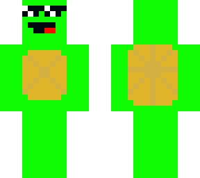 turtle dude