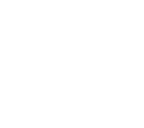 white dot