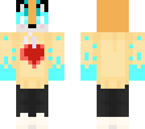 foxgamer11