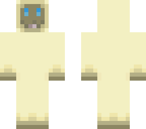 hymalayan cat