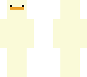 duck contest!