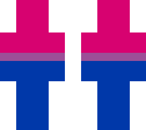 bi***ual flag
