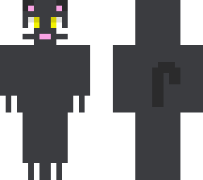 gray cat