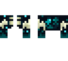 warden jacket