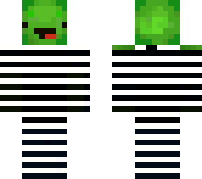 cartoon turtle brother