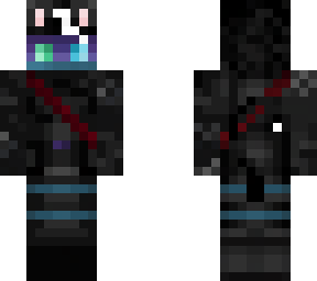 cat assassin