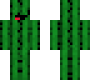 cactus fool