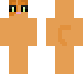 orange kitten
