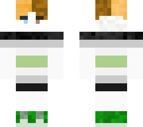 agender calico cat