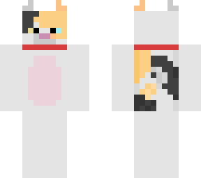 calico cat