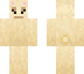 llama