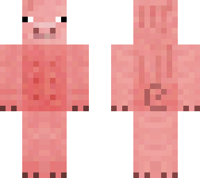 pig