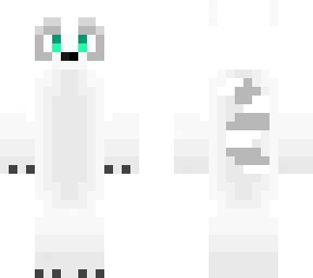 white racoon