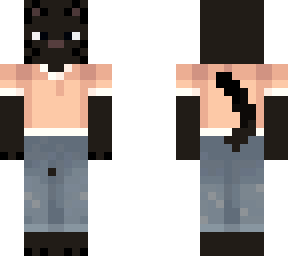 chips the cat original