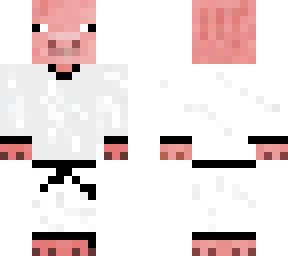 karate piggy