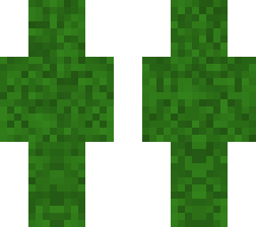 Moss | Minecraft Skin