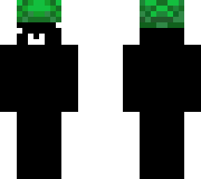 turtle terry