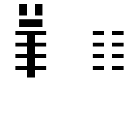 skeleton