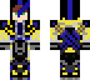 the assasin ninja