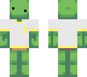 turtle with a shirt