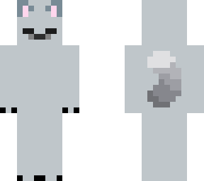 a cat