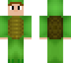 bradsbroken turtle