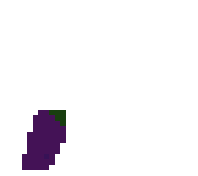 eggplant