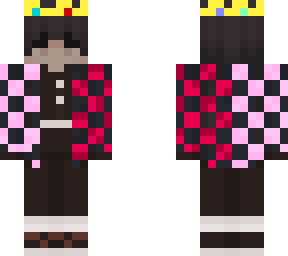 electricsparky9 (to technoblade)