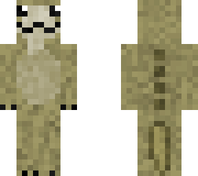 lizard