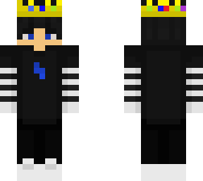 // my skin // (technoblade)