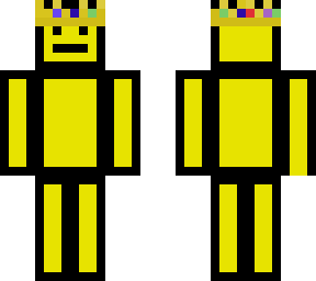 cjdjgamer (r.i.p technoblade)