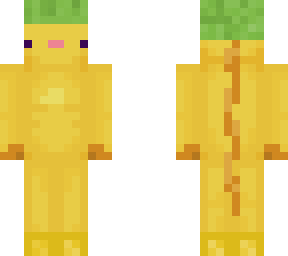 l like turtles
