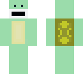 turtle man