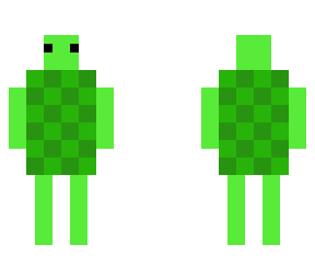 turtle