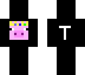 a tribute to technoblade