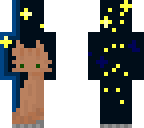 stary night contest
