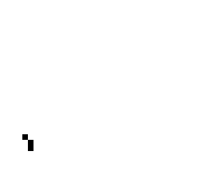blank