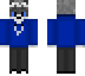 racoon phil