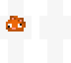 meet my pet