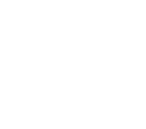 nothing here