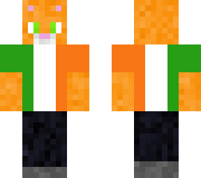 irish orange cat