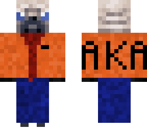pugishaka's main skin