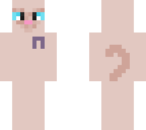 sphynx cat techo ribbon