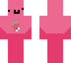dragon fruit