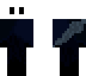 the knight from hollow knight