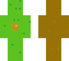 avacado