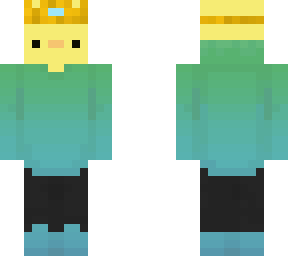 duck in a blue and green hoodie
