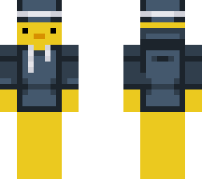 duck with sweater