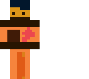 ninja skin